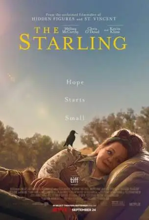 Скворец онлайн
